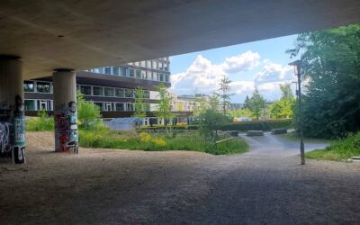 Seebach verändert sich